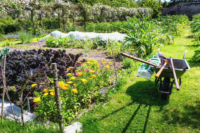 Le jardin partagé, ses carrés cultivés et la cabane au fond.