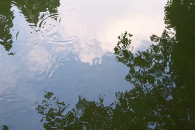 Les étangs bordés d’arbres, avec leur banc.