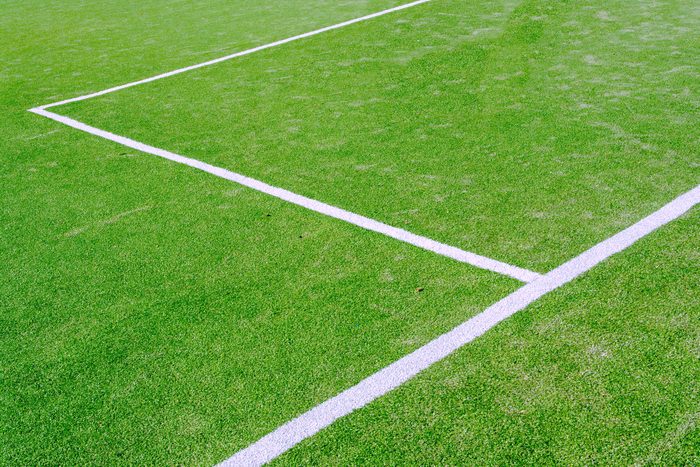 Le terrain de football, but et lignes tracées.