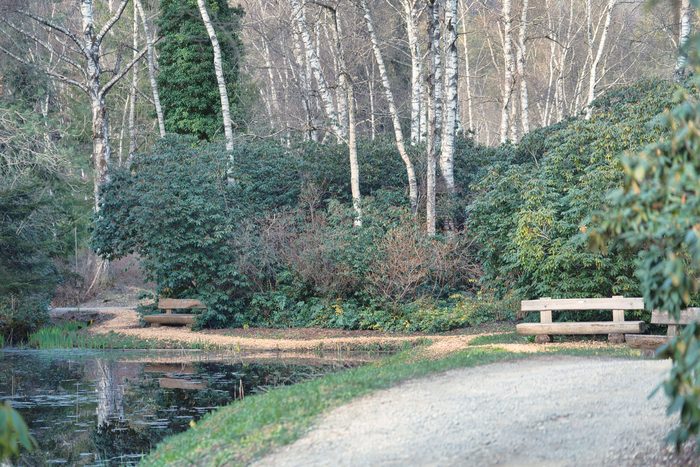 Les étangs bordés d’arbres, sur le parcours de marche nordique.