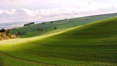 Les collines du parcours, sous un ciel pâle.