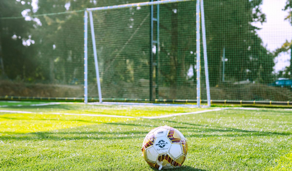 Le terrain de football du village : le but, les lignes tracées, la haie d’arbres derrière.